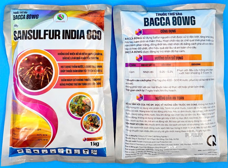 BACCA 80WG Hiệu SANSULFUR INDIA 800